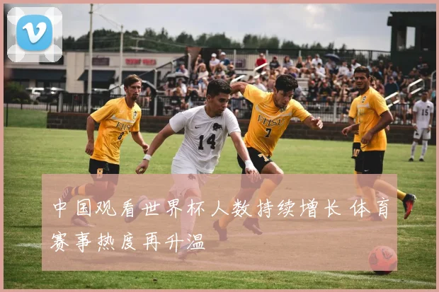中国观看世界杯人数持续增长 体育赛事热度再升温