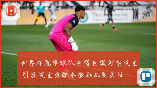 世界杯冠军球队中得巨额彩票奖金 引发奖金分配和激励机制关注
