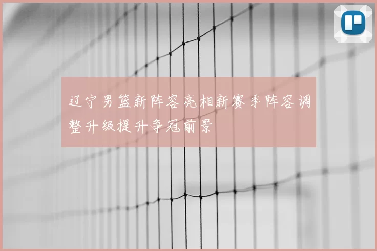 辽宁男篮新阵容亮相新赛季阵容调整升级提升争冠前景