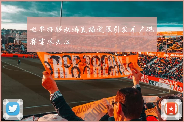世界杯移动端直播受限引发用户观赛需求关注
